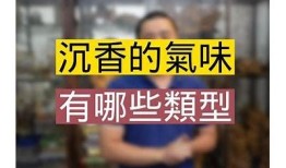 探秘抖音热潮下的香奈儿：如何在短视频时代抢占市场？