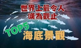 抖音记录世界奇迹：探索全球最惊艳抖音视频合集