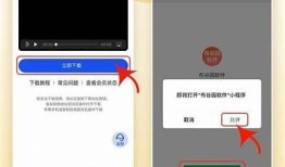 抖音在哪里下载？详细指南教你获取最新版本！