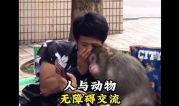 抖音阴兵恶搞视频合集：笑料不断，让你乐翻天！