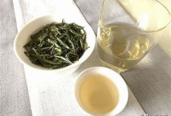 抖阴白茶的功效与饮用方法：让你健康每一天！