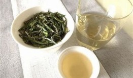 抖阴白茶的功效与饮用方法：让你健康每一天！