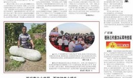 巴中市阴家沟荣华抖音视频：探索美丽乡村的特有魅力与故事