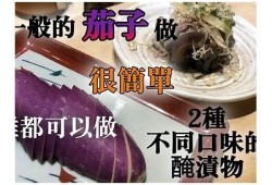 趣味茄子视频分享：轻松一刻的搞笑与幽默
