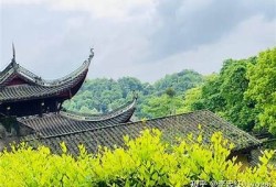 阴字变阳字大揭秘：看我如何轻松转变，精彩视频分享！