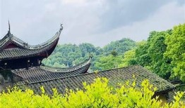 阴字变阳字大揭秘：看我如何轻松转变，精彩视频分享！
