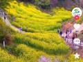 抖音旅行攻略：畅游热门目的地，开启你的精彩之旅