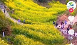 抖音旅行攻略：畅游热门目的地，开启你的精彩之旅