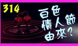 探讨此抖阴非彼：解析社会情况与文化差异的深层含义