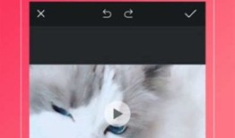 蝌蚪抖阴app免费下载与使用指南，畅享无限乐趣