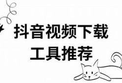 详细解析：如何下载抖音视频及其操作教程