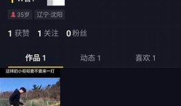 抖音视频优化技巧：提升播放量与互动率的实用方法分享