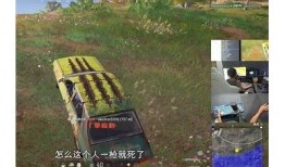 揭秘阴抖视频背后的真相与影响，了解这些你不可不知的秘密