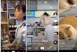 抖音短视频无遮挡在线观看，畅享精彩内容与创意无限