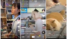 抖音破解版下载地址，蓝奏云链接分享与使用攻略
