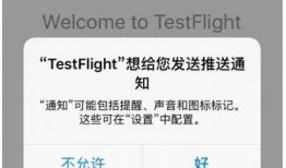 获取抖阴TestFlight邀请码的方法与使用技巧分享