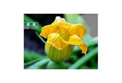 获取快猫破解版与抖阴的最佳使用技巧与下载指南