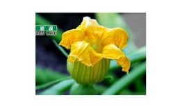 获取快猫破解版与抖阴的最佳使用技巧与下载指南
