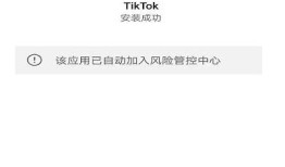 阴抖国际服下载安装详解：完整步骤与注意事项