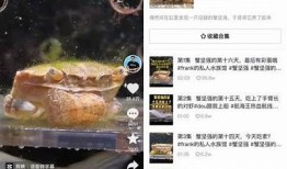 揭秘抖音与优抖音的区别与特点，哪个更适合你？