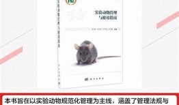 抖阴app下载官网首页 | 最新版下载与使用指南