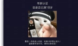 抖阴真粉：揭秘短视频平台背后的真实用户与影响力研究