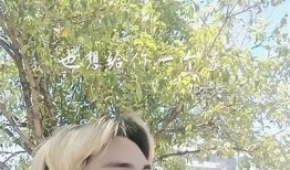 揭秘抖音五大阴兵视频背后的真相与影响