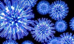 抖音是否存在病毒？彻底解析与安全使用指南