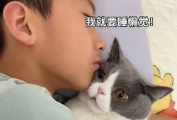 想知道谁拥有快猫和抖阴？答案在这里！