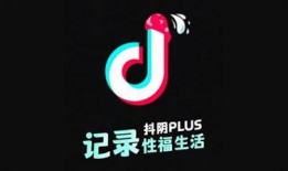 抖阴app使用指南：如何安全高效地体验新社交平台