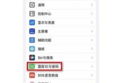 详细教程：如何在苹果设备上下载抖音使用