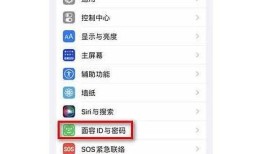 详细教程：如何在苹果设备上下载抖音使用