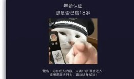 抖阴先生：揭秘短视频背后的创作与障碍，赢取流量的秘诀！