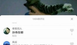 揭秘抖音孙伟背后的成功秘籍与创业故事