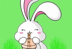 兔子抖阴视频动漫：趣味可爱的兔子冒险故事大揭秘