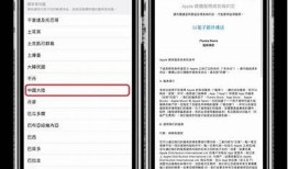 如何下载苹果抖阴使用，获取最新版本教程分享