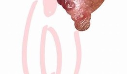 揭秘神秘的抖阴：隐藏在短视频背后的震撼真相与奇趣故事