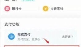 抖阴小视频支付方式详解，轻松完成支付步骤