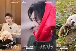 2023年最佳抖音类似使用推荐，畅享短视频乐趣