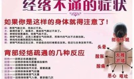 提升阴阳平衡，助力身心健康的养生秘籍，快来了解！