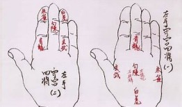极速掌握抖阴技巧：全方位小视频教程，让你轻松上手！