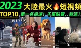 2023年最新热门抖音免费视频推荐，精彩不断，速来围观！