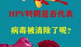 揭秘HPV转阴的真实案例与有效护理方法，赶快来看看！