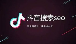 抖音短视频优化技巧大公开，轻松提升百度收录排名
