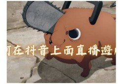 抖音直播火爆秘籍：从零开始打造热门直播间