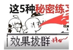 抖阴菜鸟QQ使用攻略：新手必看技巧与注意事项