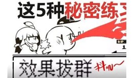 抖阴菜鸟QQ使用攻略：新手必看技巧与注意事项