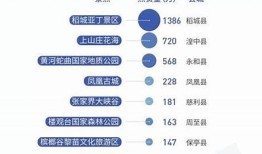 抖音的隐患与风险研究：用户需警惕的潜在难题