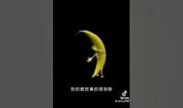 探索香蕉视频与抖阴的精彩世界，畅享不一样的视听体验