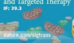 揭秘三阴性乳腺癌：最新治疗方法与预防策略